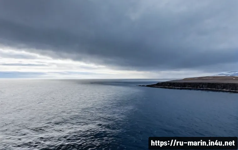 해양 대기와 해양 상호작용 - Photorealistic wide coastal scene on the Russian Arctic shoreline, dark blue sea meeting low silver-...